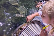 Červen ve školní družině